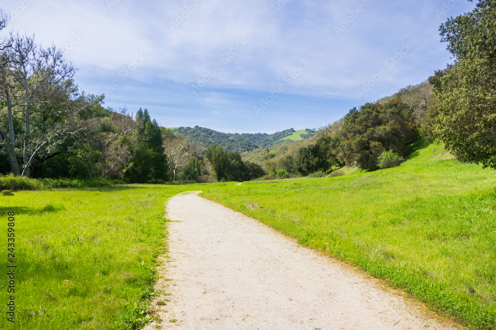 Hunting Hollow valley path, Henry W. Coe State Park, California