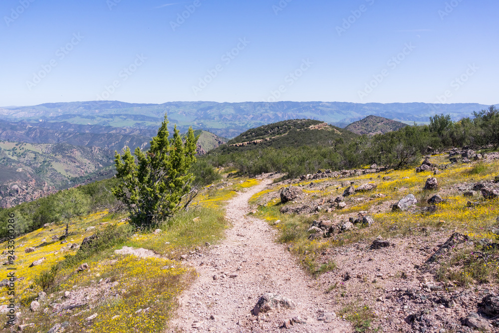 Fototapeta premium Trail to Chalone North Peak, Hain Wilderness, Pinnacles National Park, California