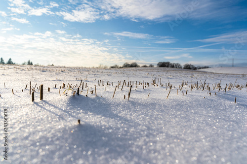 Empty Countryside Landscape in Sunny Winter Day with Snow Covering the Ground, Abstract Background with Deep Look