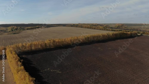 Autumn field