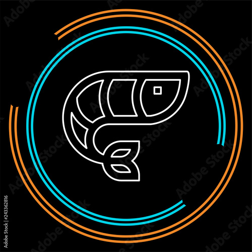 vector shrimp illustration - food sea
