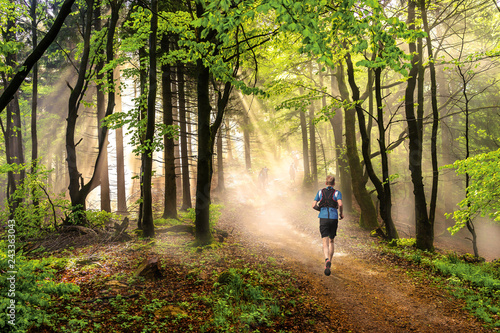 Man running through a forest at beautiful sunny weather