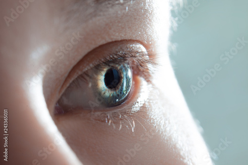 Human eye close-up. Macro photo of blue female eye. 
