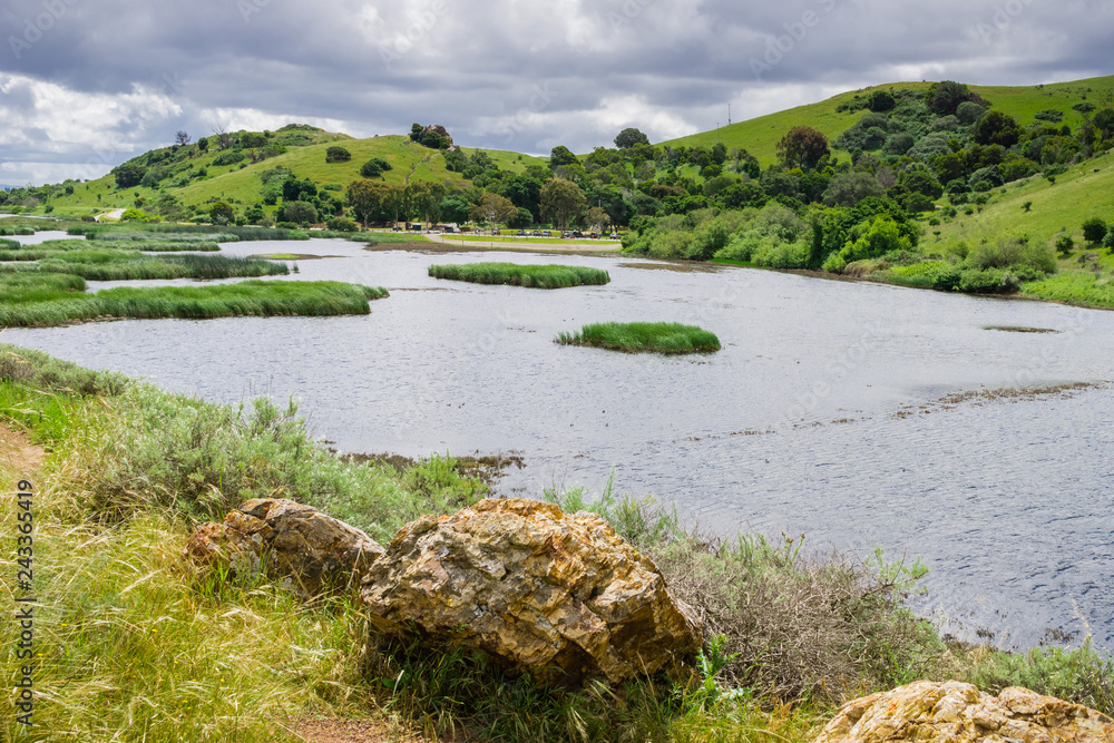 Fototapeta premium Pond in Coyote Hills Regional Park on a cloudy spring day, east San Francisco bay, California