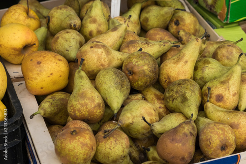 Pyrus Communis. Pera Conferencia o  Conference en el Mercado de Abastos de Santiago de Compostela. Galicia. España. photo