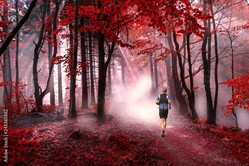 Man running through a magical red forest in beautiful foggy sunshine photo