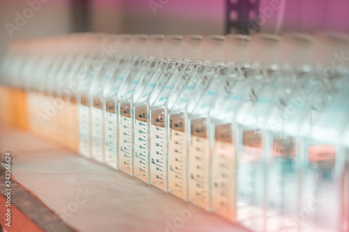 Microalgae cultivation in a biotechnology laboratory.