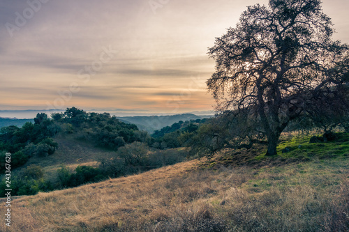 Sunset landscape in Henry W. Coe State Park, south San Francisco bay, California