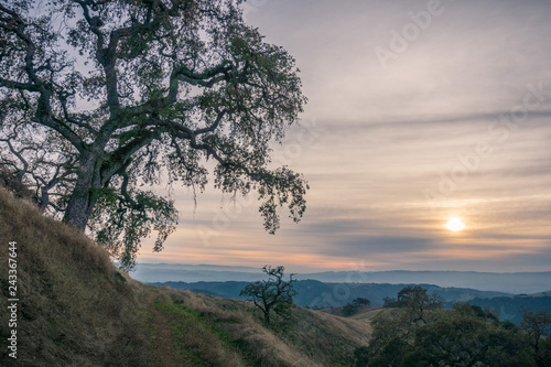 Photography Hiking trail on the hills of in Henry W