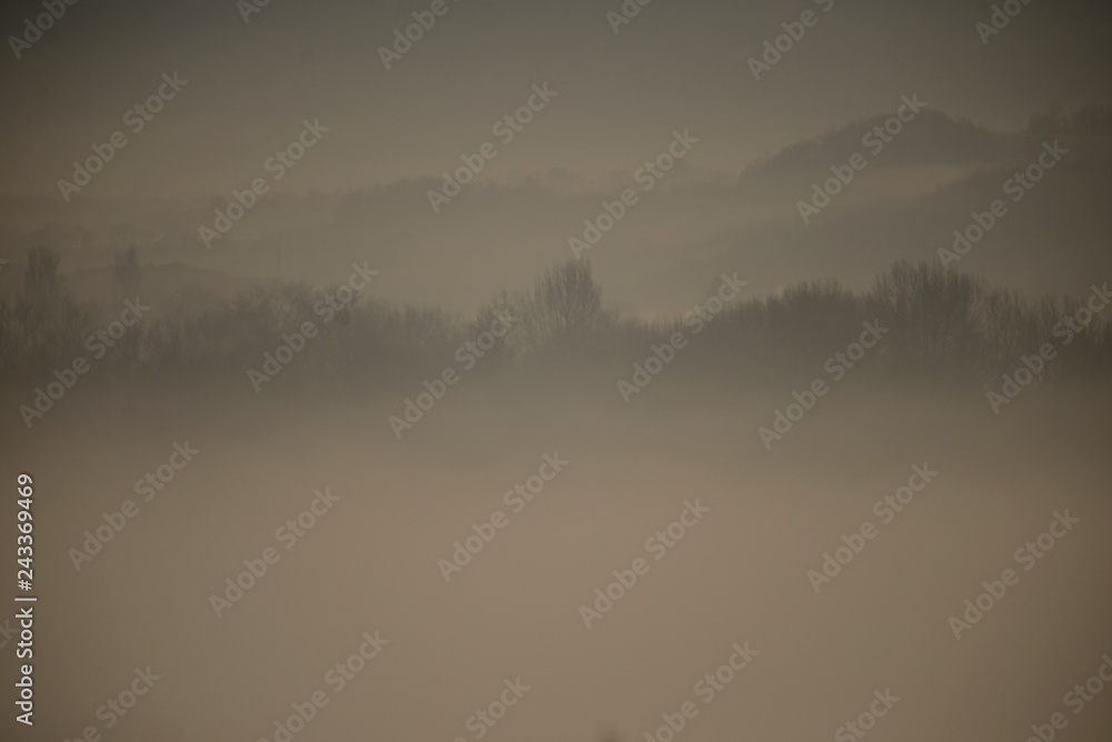 amanecer con espesa niebla en el barrio de Salburua en la ciudad de Vitoria-Gasteiz (Alava), País Vasco, España amanecer con espesa niebla en el barrio de Salburua en la ciudad de Vitoria-Gasteiz (Alava), País Vasco, España
