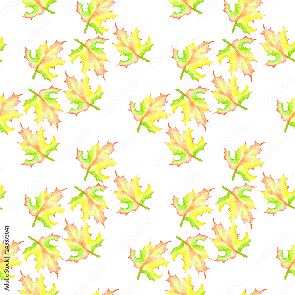 maple leaves pattern