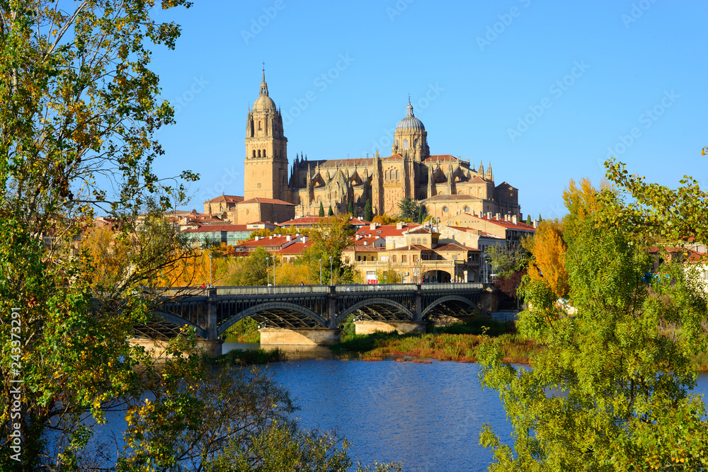 Salamanca, Spain - November 15, 2018: Cathedral of Salamanca and the Bridge of Enrique Estevan in the foreground.