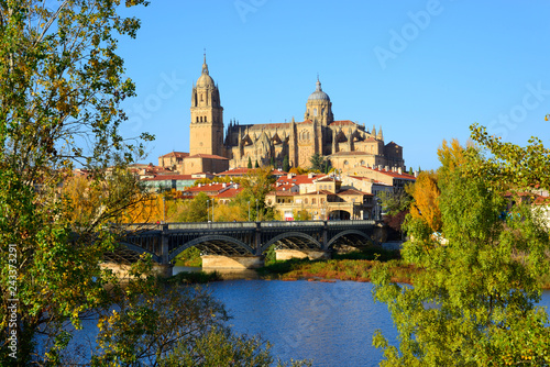 Salamanca  Spain - November 15  2018  Cathedral of Salamanca and the Bridge of Enrique Estevan in the foreground.