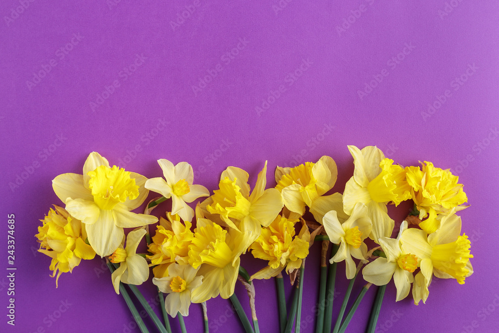 Colorful greeting background with spring flowers Colorful greeting background with spring flowers