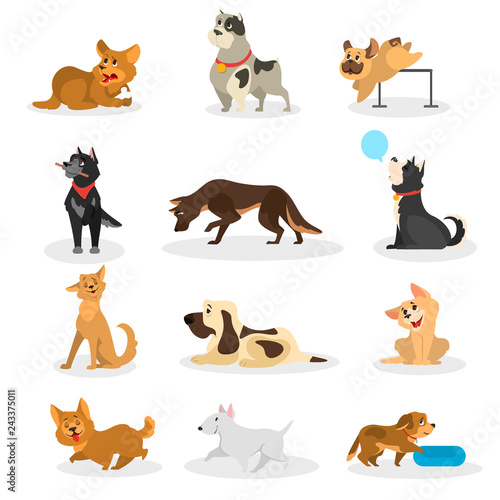 Dog set. Collection of pet doing different activity