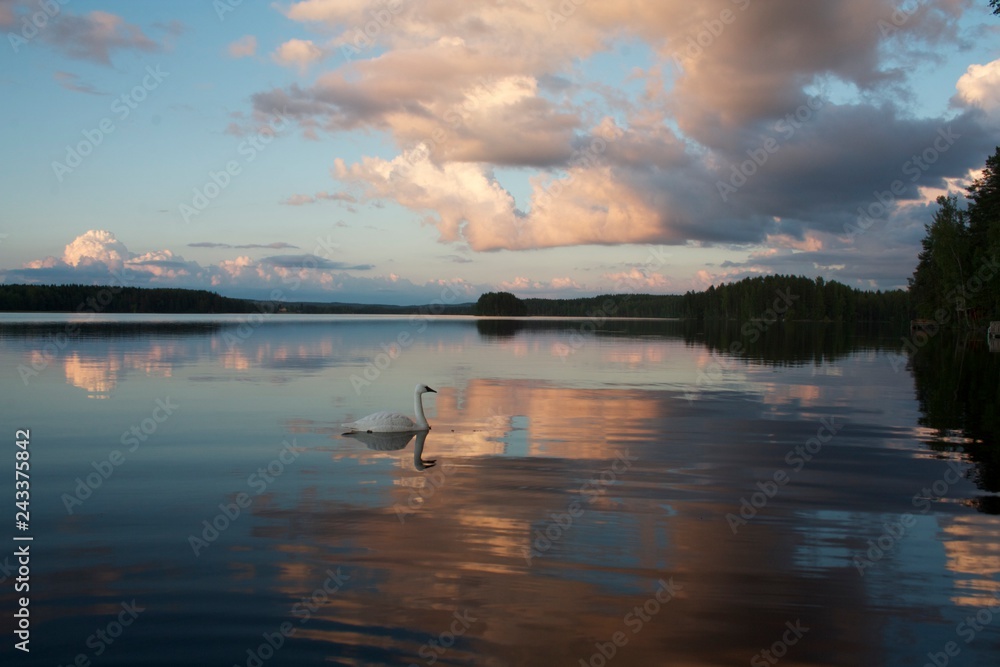 Finnish Lake View