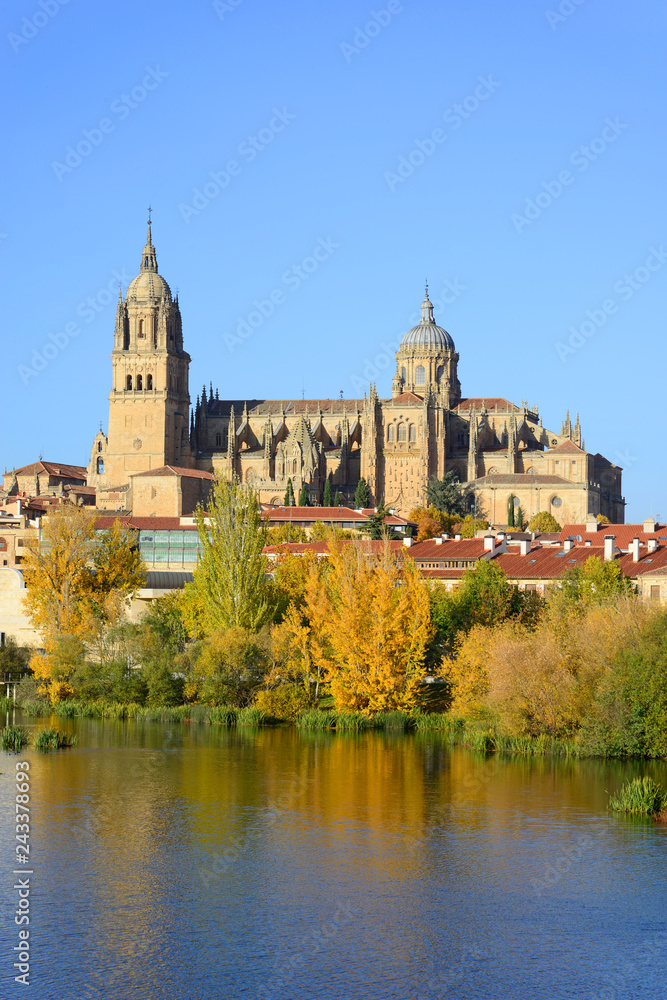 Salamanca, Spain - November 15, 2018: Cathedral of Salamanca and the river Tormes in the foreground.