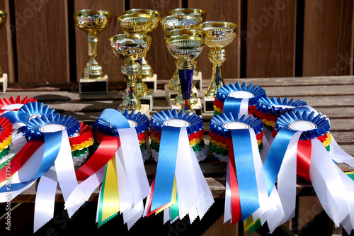 Closeup of colorful ribbons awards rosettes and trophys for winners In equitation competition