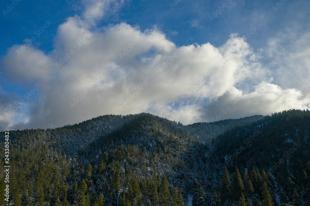 Winter snow forrest in Tehachapi California