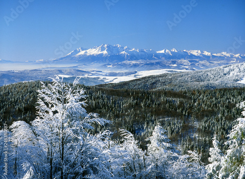 view from Jaworzyna Krynicka mountain to Tatry Mountains, Beskid Sadecki Mountains and Podhale, Poland photo