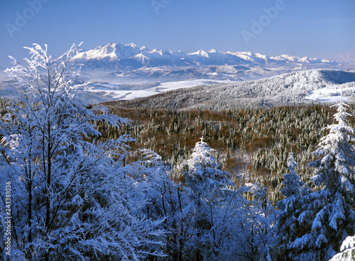 Fototapeta Naklejka Na Ścianę i Meble -  view from Jaworzyna Krynicka mountain to Tatry Mountains, Beskid Sadecki Mountains and Podhale, Poland