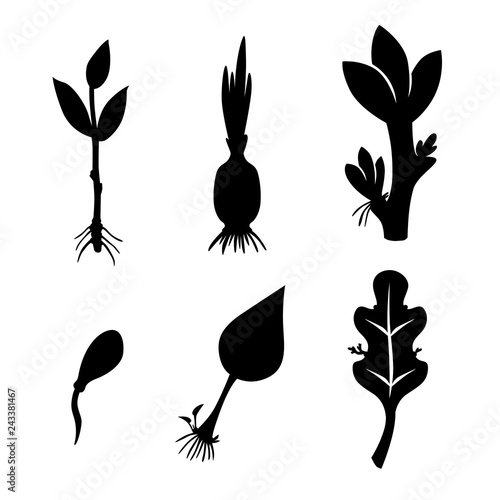 Different plants reproduction set icon