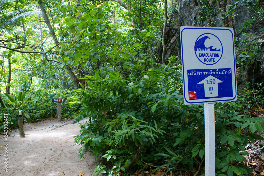 Tsunami tailandia videos reales Tsunami tailandia videos reales