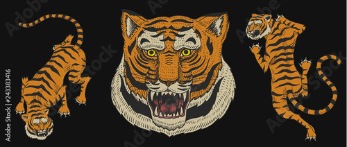 Asian tigers in vintage japanese style for logo. Face Close up. Wild animals cats. Predators from the jungle. Hand drawn Engraved Monochrome Old Sketch for tattoo t-shirt or web site.