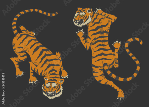 Asian tigers in vintage japanese style for logo. Wild animals cats. Predators from the jungle. Hand drawn Engraved Monochrome Old Sketch for tattoo t-shirt or web site.
