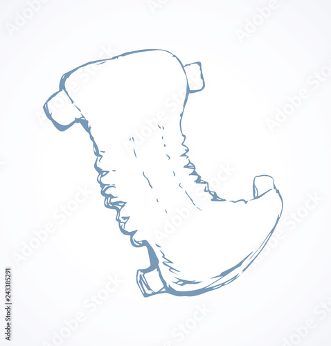 Vector drawing. Pampers