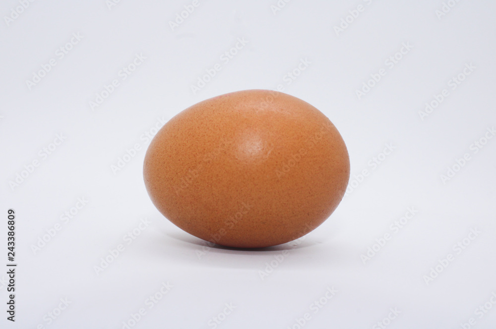 Single brown chicken egg isolated on white backgroud, horizontal