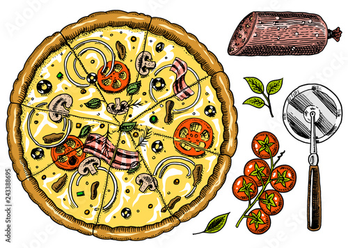 Slice of pizza with cheese. yummy italian vegetarian food with tomatoes, olives and eggplant. Label for restaurant menu. Hand drawn template. Vintage sketch style.
