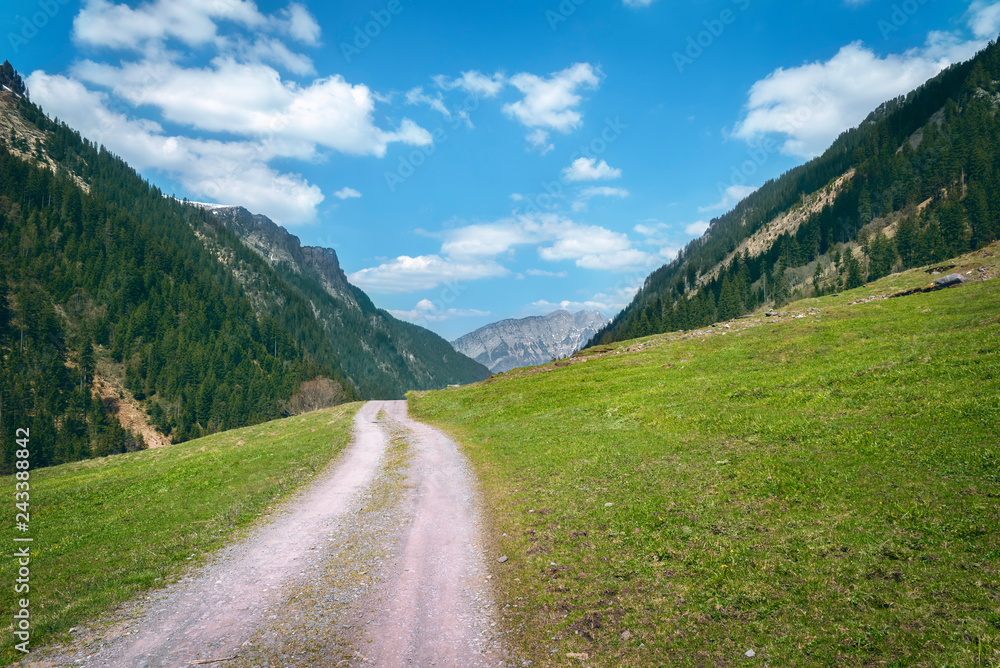 Alpine road through pastures in the Swiss Alps