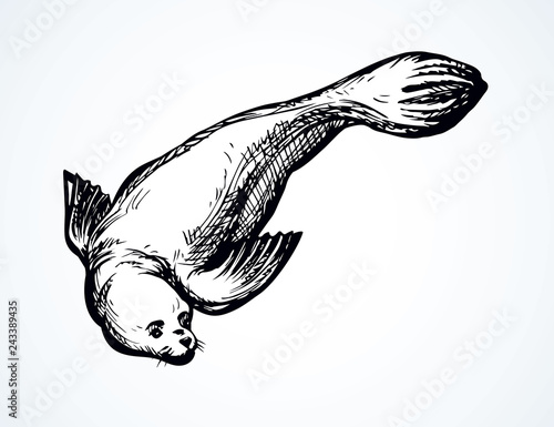 Seal. Vector drawing