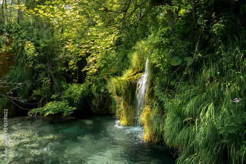 Fototapeta Naklejka Na Ścianę i Meble -  small cascade in a green forest with clear water