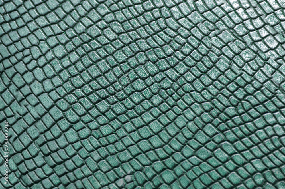 Green crocodile or snake skin texture as background for your project with  copy space for text. Artificial textile texture, Stock image