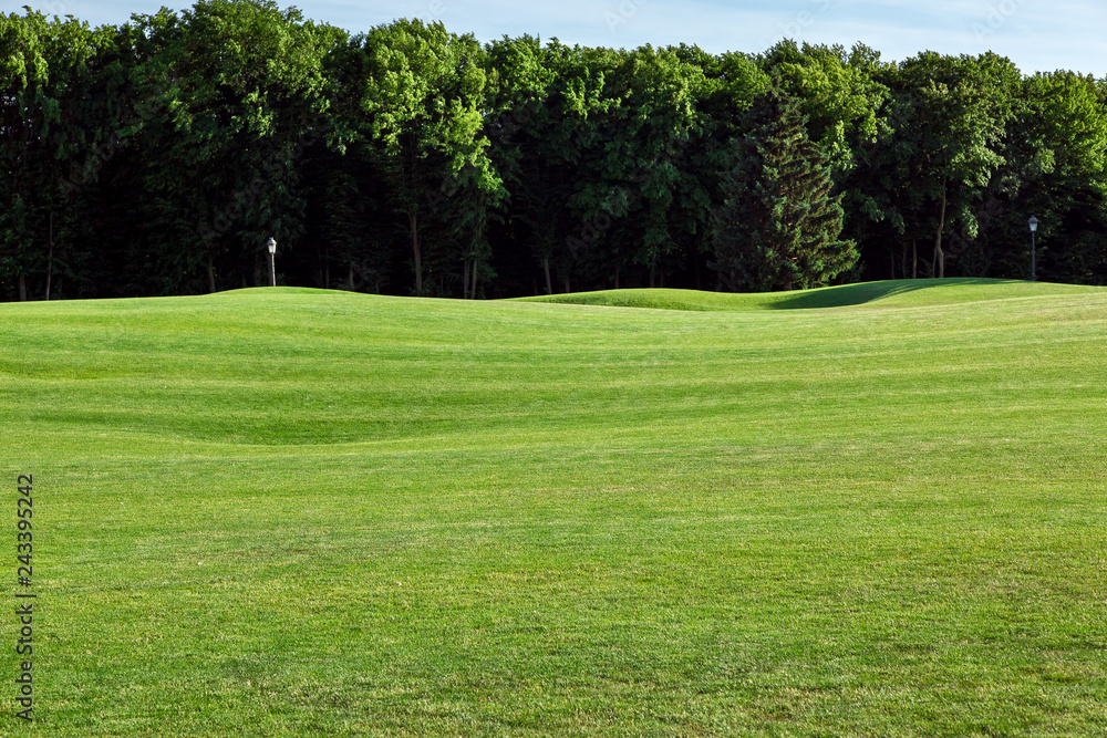 landscape of a golf course with a wavy meadow and trees in the background.