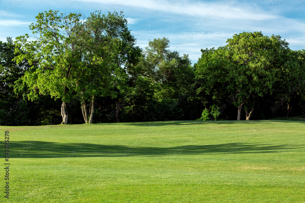 Glade with green lawn illuminated by sunlight. Wavy landscape in the background with tall trees.