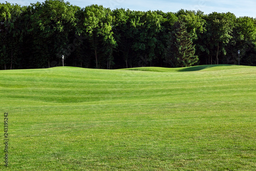 landscape of a golf course with a wavy meadow and trees in the background.