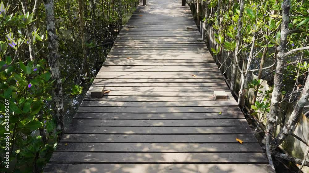 panning shot of Wooden bridge at Mangroves in Tung Prong Thong or Golden Mangrove Field, Rayong, Thailand panning shot of Wooden bridge at Mangroves in Tung Prong Thong or Golden Mangrove Field, Rayong, Thailand