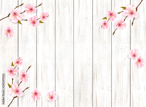 Sakura japan cherry branch on wooden background. Vector