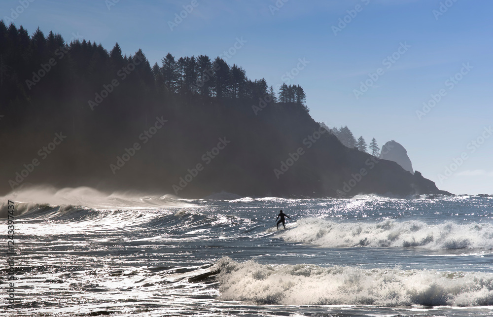 Fototapeta premium surfer in the ocean