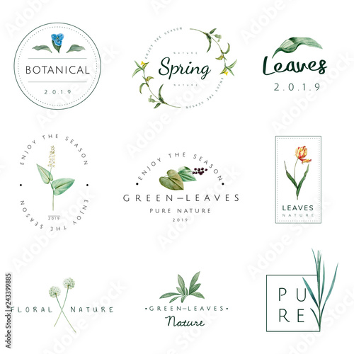 Set of nature and plant logo vectors