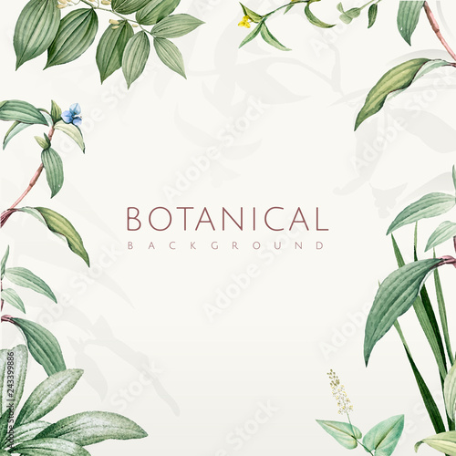 Green botanical leaves background design