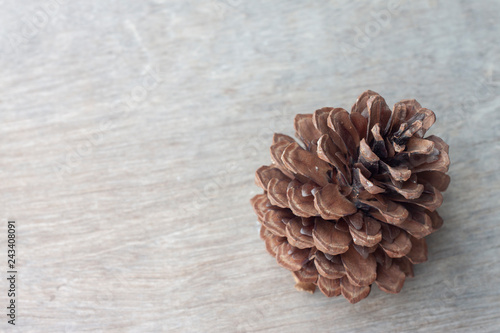 Pine cones on blur old brown wooden background.