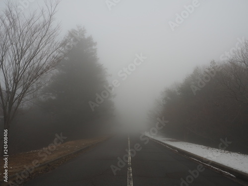 Straight road in the foggy forest