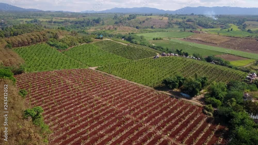 Aerial view over agricultural parcels in countryside. Cultivated land with various plants near the village. Nature and agriculture concepts. 4K video taken from drone. Aerial view over agricultural parcels in countryside. Cultivated land with various plants near the village. Nature and agriculture concepts. 4K video taken from drone.