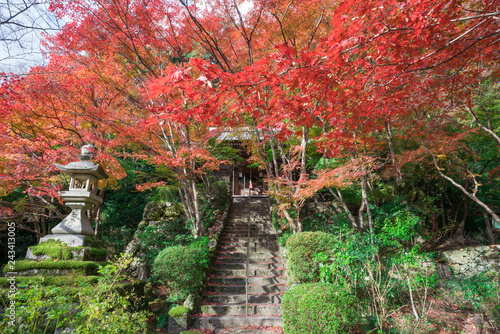 京都　勝持寺の紅葉