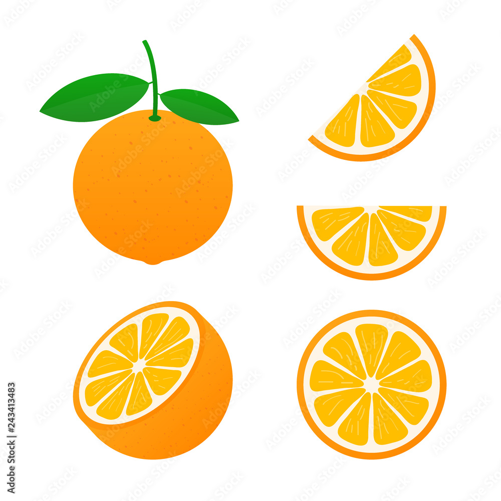Orange with leaves whole and slices of oranges. Vector illustration of oranges.
