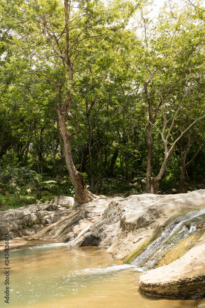 Fototapeta premium Sleeping Giant Tropical Garden